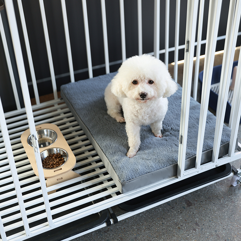 Dog Bed Mat with Zipper Remolv - Mattress Pad Topper บทวิจารณ์และราคา